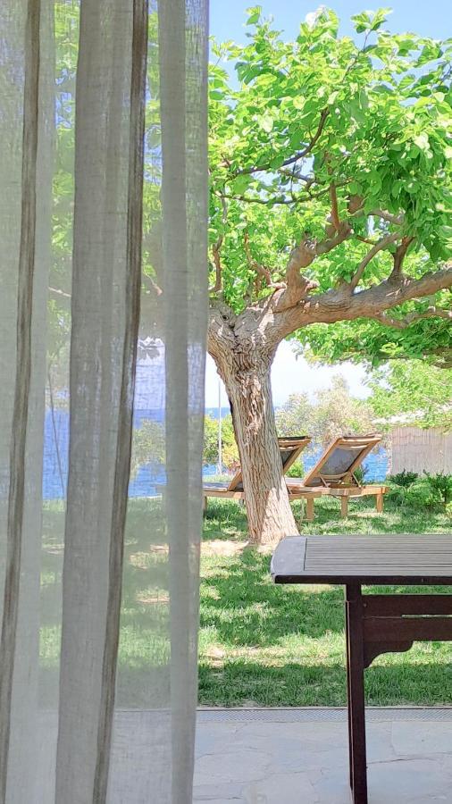 Arkadiko Chorio Nama Beach House מראה חיצוני תמונה