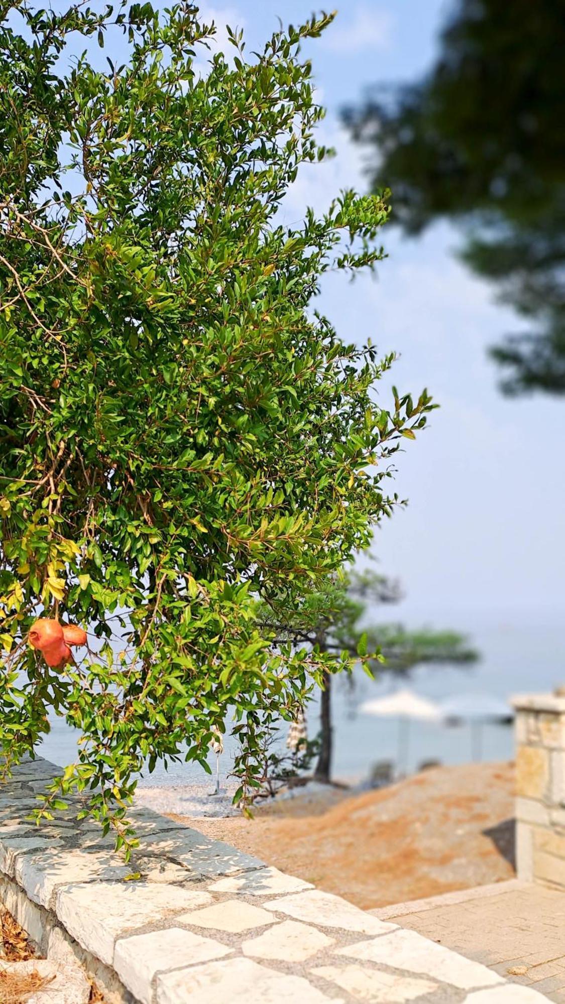 Arkadiko Chorio Nama Beach House מראה חיצוני תמונה